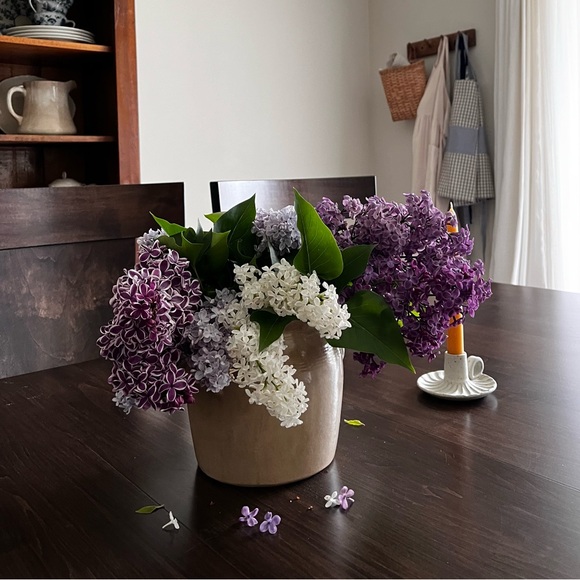 It's me! Amber โจ Come say hello! - Picture 8 of 11